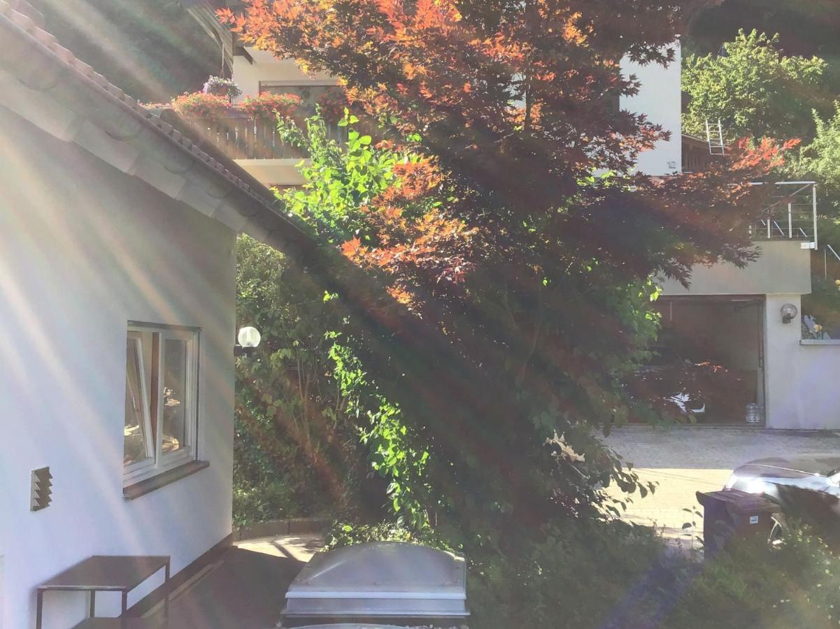 Ferienwohnung Am Eiberg Bad Wildbad Zewnętrze zdjęcie